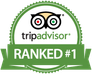 TripAdvisor Logo