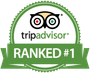 TripAdvisor Logo